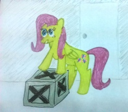 Size: 1645x1440 | Tagged: safe, artist:pawnypawnstar, fluttershy, g4, box, female, simple background, solo, traditional art