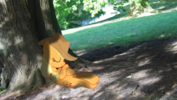 Size: 1920x1080 | Tagged: safe, artist:harvydraws, applejack, g4, do not disturb, irl, lying down, nap, on back, photo, photoshop, ponies in real life, shade, sleeping, solo, tree, under the tree, vector