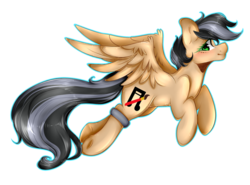 Size: 1023x757 | Tagged: safe, artist:alliedrawsart, oc, oc only, oc:artsong, pegasus, pony, female, mare, simple background, solo, transparent background