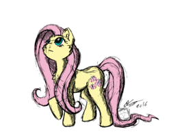 Size: 1662x1300 | Tagged: safe, artist:whimsycallow, fluttershy, g4, colored sketch, female, looking up, raised hoof, simple background, solo, standing, traditional art, transparent background, wingless