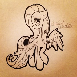 Size: 2448x2448 | Tagged: safe, artist:derpcat-collabs, fluttershy, g4, female, floppy ears, high res, inktober, inktober 2016, lineart, looking at you, raised hoof, solo, spread wings, standing, traditional art, turned head