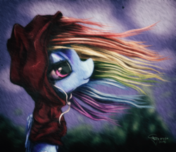 Size: 2300x2000 | Tagged: safe, artist:ferasor, rainbow dash, pony, g4, clothes, female, folded wings, high res, hoodie, looking up, profile, solo, windswept mane