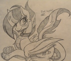 Size: 2128x1814 | Tagged: safe, artist:katkathasahathat, oc, oc only, oc:black tempest, dragon, hybrid, pony, sketch, solo