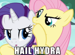 Size: 500x370 | Tagged: safe, edit, edited screencap, screencap, fluttershy, rarity, changeling, g4, to where and back again, cropped, fake fluttershy, fake rarity, hail hydra, image macro, meme