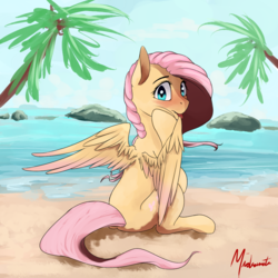 Size: 1000x1000 | Tagged: safe, artist:miokomata, fluttershy, g4, beach, blushing, cute, female, looking at you, ocean, sand, shyabetes, signature, sitting, solo, spread wings, tongue out, water