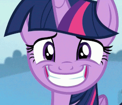 Size: 500x432 | Tagged: safe, edit, edited screencap, screencap, twilight sparkle, alicorn, pony, g4, to where and back again, animated, eye twitch, female, forced smile, gif, grin, looking at you, loop, reaction image, smiling, solo, twilight sparkle (alicorn)