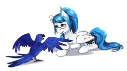 Size: 1280x722 | Tagged: safe, artist:somepony-ul, oc, oc only, bird, hyacinth macaw, macaw, parrot, pegasus, pony, blue hair, glasses, long hair, long tail, ponytail, prone, simple background, solo, white background