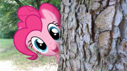 Size: 1920x1080 | Tagged: safe, artist:harvydraws, pinkie pie, earth pony, pony, g4, female, forest, hello, irl, looking at you, mare, open mouth, peeking, photo, photoshop, ponies in real life, smiling, solo, tree, vector