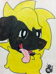 Size: 1494x1959 | Tagged: safe, artist:andandampersand, oc, oc only, oc:cash, dog, dog pony, hybrid, bust, colored, fluffy, open mouth, portrait, solo, tongue out, traditional art