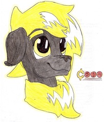 Size: 909x1067 | Tagged: safe, artist:andandampersand, oc, oc only, oc:cash, dog pony, hybrid, bust, colored, fluffy, portrait, solo, traditional art