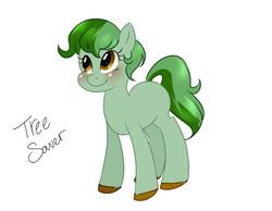 Size: 900x700 | Tagged: safe, oc, oc only, oc:tree saver, earth pony, pony, solo