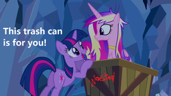 Size: 1280x720 | Tagged: safe, edit, edited screencap, screencap, princess cadance, twilight sparkle, alicorn, pony, unicorn, a canterlot wedding, g4, duo, into the trash it goes, meme, sisters-in-law, trash can, wasted