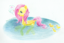 Size: 2812x1878 | Tagged: safe, artist:galaxydreamunicorn, fluttershy, g4, baby duck syndrome, colored pencil drawing, duckling, flutterduck, folded wings, pegaduck, singing, swimming, traditional art, water