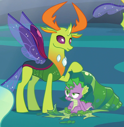 Size: 829x851 | Tagged: safe, screencap, spike, thorax, changedling, changeling, dragon, g4, to where and back again, changeling king, changeling slime, cocoon, cropped, duo, king thorax, male, smiling, wet