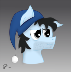 Size: 2213x2263 | Tagged: safe, artist:megabyte1835, oc, oc only, oc:lazy days, pony, hat, high res, male, simple background, solo, stallion, stubble