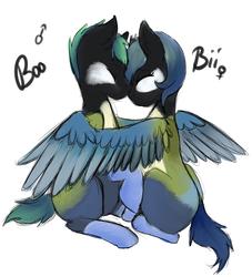 Size: 2422x2664 | Tagged: safe, artist:otpl, oc, oc only, bird pone, great tit, pegasus, pony, 4chan, high res, oc x oc, shipping, simple background, sitting, spread wings, white background