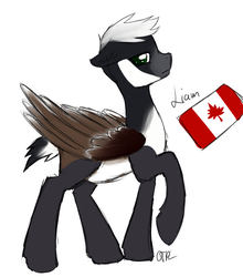 Size: 2471x2808 | Tagged: safe, artist:otpl, oc, oc only, bird pone, pegasus, pony, 4chan, canada, floppy ears, high res, lidded eyes, looking back, raised hoof, simple background, solo, white background