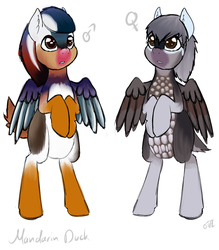 Size: 2893x3303 | Tagged: safe, artist:otpl, oc, oc only, bird pone, duck, pegasus, pony, 4chan, bipedal, ear fluff, high res, mandarin duck, oc x oc, shipping, simple background, white background
