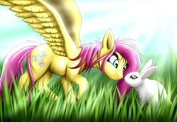 Size: 3490x2400 | Tagged: safe, artist:susihiisi, fluttershy, pony, rabbit, g4, duo, grass, high res, looking at each other, raised hoof, spread wings
