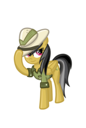 Size: 1260x1872 | Tagged: safe, artist:thecheeseburger, daring do, pegasus, pony, g4, clothes, female, hat, simple background, smiling, solo, transparent background