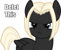 Size: 4023x3327 | Tagged: safe, artist:outlawedtofu, oc, oc only, oc:astral, pegasus, pony, fallout equestria: outlaw, angry, caption, delet this, frown, grumpy, image macro, simple background, solo, transparent background, vector