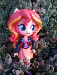 Size: 1944x2592 | Tagged: safe, sunset shimmer, equestria girls, g4, boots, clothes, cute, doll, equestria girls minis, flower, irl, jacket, leather jacket, photo, skirt, solo, toy