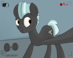 Size: 2500x2000 | Tagged: safe, artist:triplesevens, thunderlane, pegasus, pony, g4, camera, camera shot, high res, male, recording, selfie, solo, stallion, weights