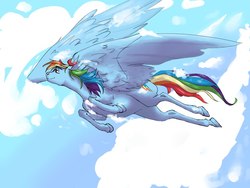 Size: 800x600 | Tagged: safe, artist:little.swamp, rainbow dash, g4, cloud, female, flying, solo