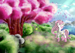 Size: 3507x2480 | Tagged: safe, artist:frozentear7, princess celestia, g4, cherry blossoms, clothes, female, forest, high res, melancholy, pink-mane celestia, princess, scenery, socks, solo, tree, younger