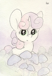 Size: 683x1007 | Tagged: safe, artist:slightlyshade, sweetie belle, g4, female, mushroom, solo, traditional art