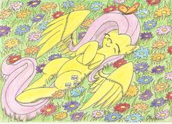 Size: 2320x1672 | Tagged: safe, artist:stardustchild01, fluttershy, butterfly, g4, eyes closed, female, flower, grass, hooves to the chest, on back, smiling, solo, spread wings, traditional art