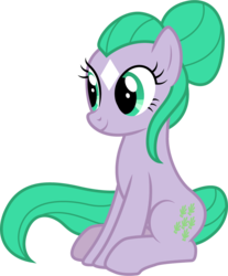 Size: 791x957 | Tagged: safe, artist:cloudy glow, seashell (g1), earth pony, pony, g1, g4, coat markings, facial markings, female, g1 to g4, generation leap, mare, simple background, solo, star (coat marking), transparent background, vector