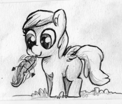 Size: 896x765 | Tagged: safe, artist:the-wag, chirpy hooves, pegasus, pony, g4, feather, female, filly, grayscale, monochrome, solo