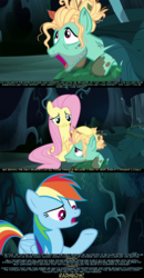 Size: 1280x2462 | Tagged: safe, screencap, fluttershy, rainbow dash, zephyr breeze, pony, flutter brutter, g4, psyga's alternate pony scenes, screencap comic