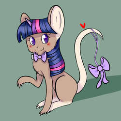 Size: 1300x1300 | Tagged: safe, artist:missmeower, twilight sparkle, mouse, g4, female, mousified, solo, species swap, twimouse