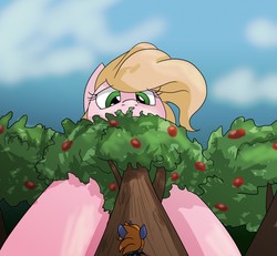 Size: 1280x1185 | Tagged: safe, artist:epicsquirrelgirl, oc, oc only, oc:ellison pippin, oc:star bright, earth pony, pony, unicorn, apple orchard, apple tree, cape, clothes, female, giant pony, giantess, growth, growth spell, macro, male, mare, micro, size difference, stallion, tiny, tiny ponies, tree, wizard