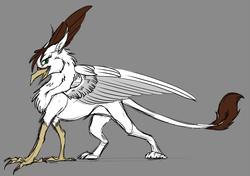 Size: 1000x704 | Tagged: safe, artist:sunny way, oc, oc only, oc:sunny way, griffon, rcf community, animal, colored, colored sketch, digital, feather, female, fur, open mouth, paws, sketch, solo, tail, wings