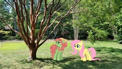 Size: 1087x611 | Tagged: safe, artist:davidsfire, artist:lilcinnamon, artist:thedoubledeuced, fluttershy, tree hugger, earth pony, pegasus, pony, g4, bandana, female, irl, mare, photo, ponies in real life, shadow, tree, vector