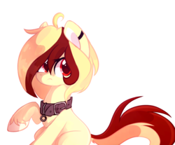 Size: 1024x846 | Tagged: safe, artist:mirtash, oc, oc only, rcf community, collar, solo, unshorn fetlocks