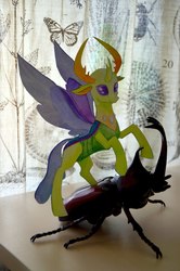 Size: 1431x2160 | Tagged: safe, artist:sanya-mosaica, thorax, changedling, changeling, insect, rhinoceros beetle, g4, to where and back again, cutout, irl, king thorax, paper child, photo, riding, smiling, solo, spread wings