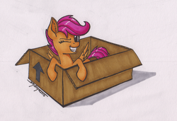 Size: 1024x699 | Tagged: safe, artist:shikogo, scootaloo, g4, arrow, box, female, grin, inktober, inktober 2016, one eye closed, smiling, solo, spread wings, traditional art, wink