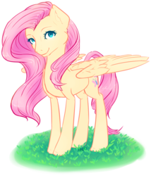 Size: 600x700 | Tagged: safe, artist:antleris, fluttershy, g4, female, grass, looking at you, simple background, solo, transparent background