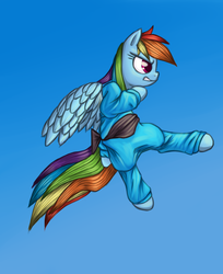 Size: 1767x2162 | Tagged: safe, artist:lurarin, rainbow dash, g4, black belt, female, kung fu, solo