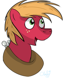 Size: 1953x2397 | Tagged: safe, artist:cloufy, big macintosh, earth pony, pony, g4, male, solo, stallion