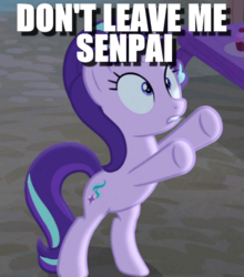 Size: 390x444 | Tagged: safe, edit, edited screencap, screencap, starlight glimmer, g4, to where and back again, cropped, female, image macro, meme, senpai, solo, worried