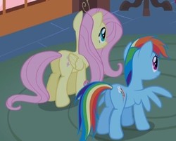 Size: 422x340 | Tagged: safe, screencap, fluttershy, rainbow dash, pony, bridle gossip, g4, butt, cropped, female, mare, plot