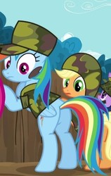 Size: 315x500 | Tagged: safe, screencap, applejack, rainbow dash, twilight sparkle, pony, dragon quest, g4, butt, camouflage, cropped, female, mare, plot, rainbutt dash