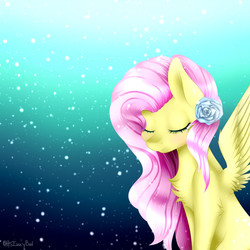 Size: 3000x3000 | Tagged: safe, artist:itsizzybel, fluttershy, pony, g4, beautiful, cute, eyes closed, female, flower, flower in hair, high res, shyabetes, solo