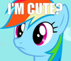 Size: 496x424 | Tagged: safe, edit, edited screencap, screencap, rainbow dash, g4, may the best pet win, cute, denial, female, image macro, meme, question, solo