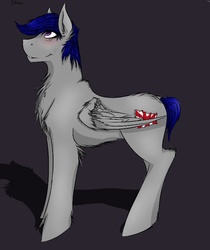 Size: 658x783 | Tagged: safe, artist:fire-scribe, oc, oc only, oc:midnight, pegasus, pony, solo